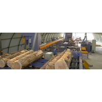 Ban saw log processing production line